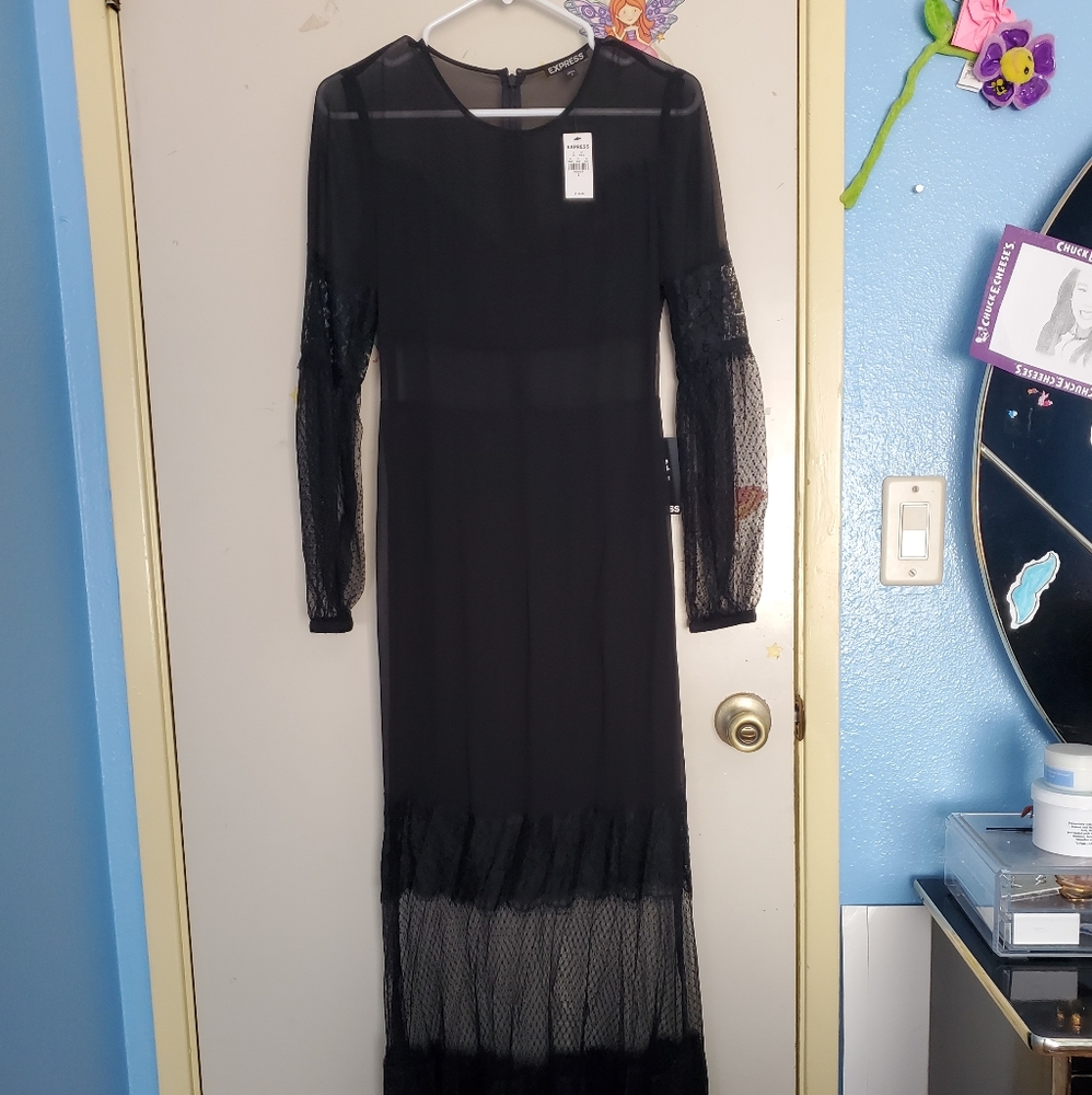 Express long sleeve and length dress